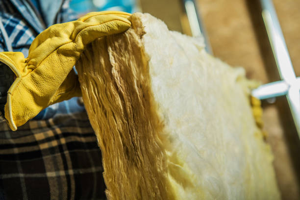 Best Blown-in Insulation  in Bithlo, FL