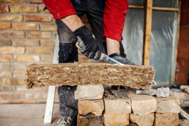 Best Insulation for New Construction  in Bithlo, FL